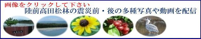 東日本大震災によって甚大な被害を被った岩手県陸前高田市の震災前の写真や震災後の写真・動画等を配信しています。